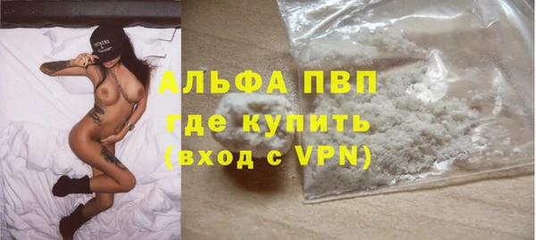 дживик Богданович