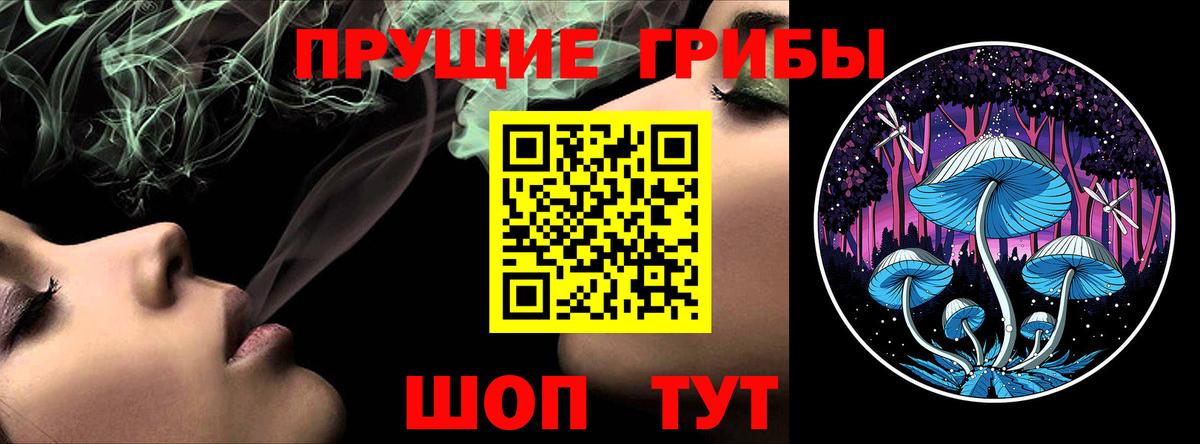 Псилоцибиновые грибы прущие грибы Гулькевичи