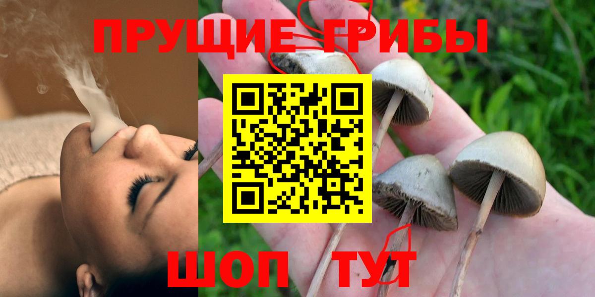 Галлюциногенные грибы мицелий  Гулькевичи 